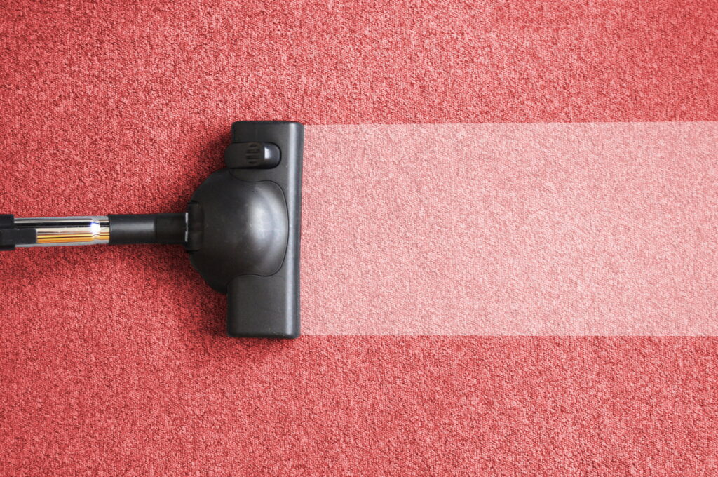 Carpet Cleaning Service in New Jersey Offers a Look at What’s Living in your Carpet