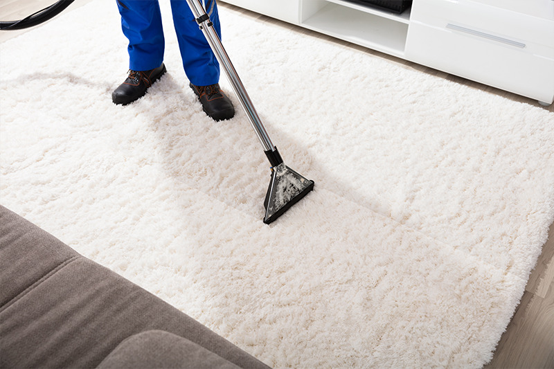 jersey shore carpet cleaning