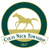 carpet cleaning colts neck nj